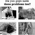 thumbnail image 3 of Echofree Tinnitus Relief Drops for Ear Health Support, 3 of 5