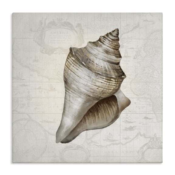 Stupell Industries Conch Shell over Vintage Map Animals Painting Wrapped Canvas Canvas Art Print Wall Art, 17 x 17