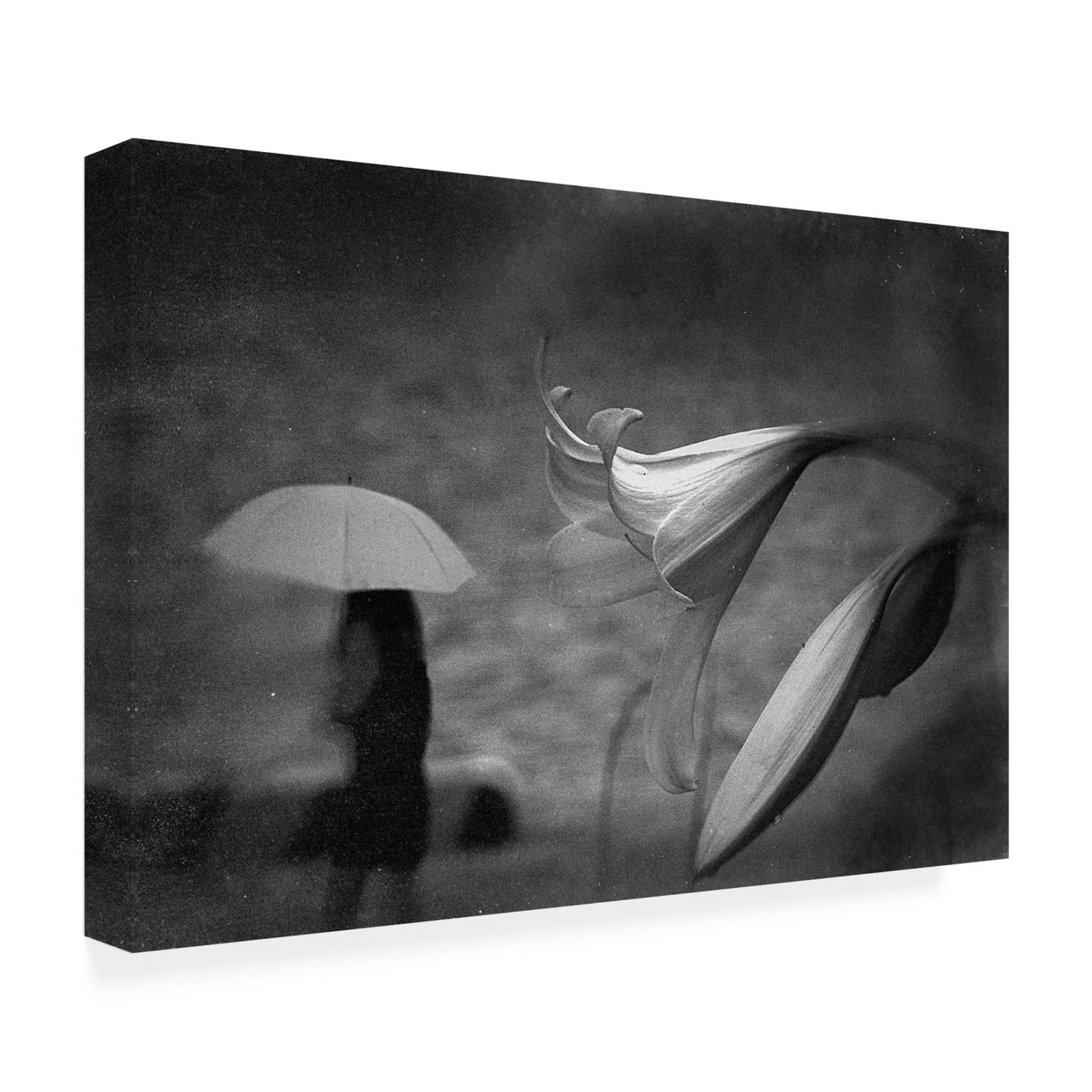 Canvas Wall Art - Teruhiko Tsuchida 'Rainy Floral' Wall Art for Living Room, Bedroom, or Office Décor by Trademark Fine Art - 24 x 16 Inches