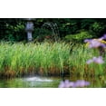thumbnail image 4 of OASE Aquarius Fountain Set Eco 825, 4 of 4