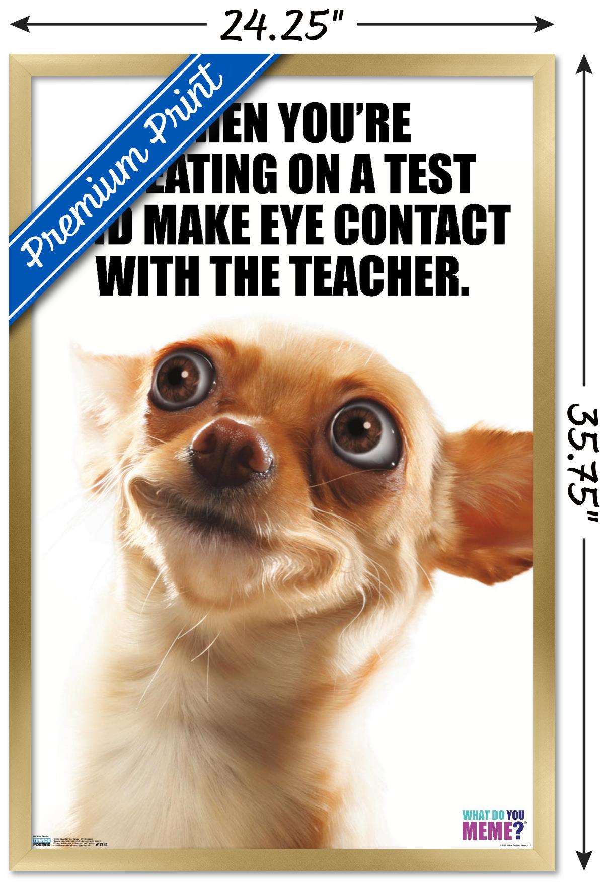 What Do You Meme - Eye Contact Wall Poster, 22.375" x 34", Framed