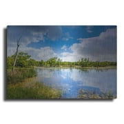 Luxe Metal Art 'Brazos Bend Sunny Afternoon' by Grace Fine Arts Photography, Metal Wall Art, 24"x16"