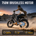 thumbnail image 3 of AMYET G60 Electric Bike for Adults, 750W 28MPH Class 3, 48V 20Ah, 20"x4" Fat Tire Mountain Bike, UL2849, 3 of 10
