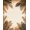 Brown And Beige, Pattern 16, variant on ODIKA 8'x10' Washable Area Rug Non-Shedding, Easy Care, Tropical Palm Frond Botanical Symmetrical Motif Border Rectangular for King Size Bedroom Under Bed, Master Suite