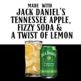 thumbnail image 4 of Jack Daniel's Tennessee Apple Fizz Ready to Drink Whiskey Cocktail, 12 Oz Can, 4 Pack, 4 of 8