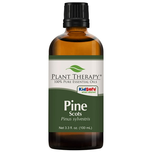Plant Therapy Essential Oils Pine Scots 100 mL (3.3 oz) 100% Pure, Undiluted