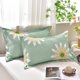 thumbnail image 1 of Ganfancp Almohada de Plumón con Núcleo de Calidad Hotelera, Suave y de Apoyo, Adecuada para La Espalda y Fabricada con Un Tejido Respetuoso con El Medio Ambiente. Ofertas Del Día Sólo En Línea 1X Alm, 1 of 6
