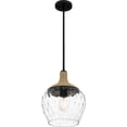 thumbnail image 4 of Royer 1-Light Matte Black Mini Pendant Light, 4 of 7