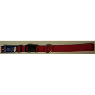 Omnipet paisley leather dog cheap collar