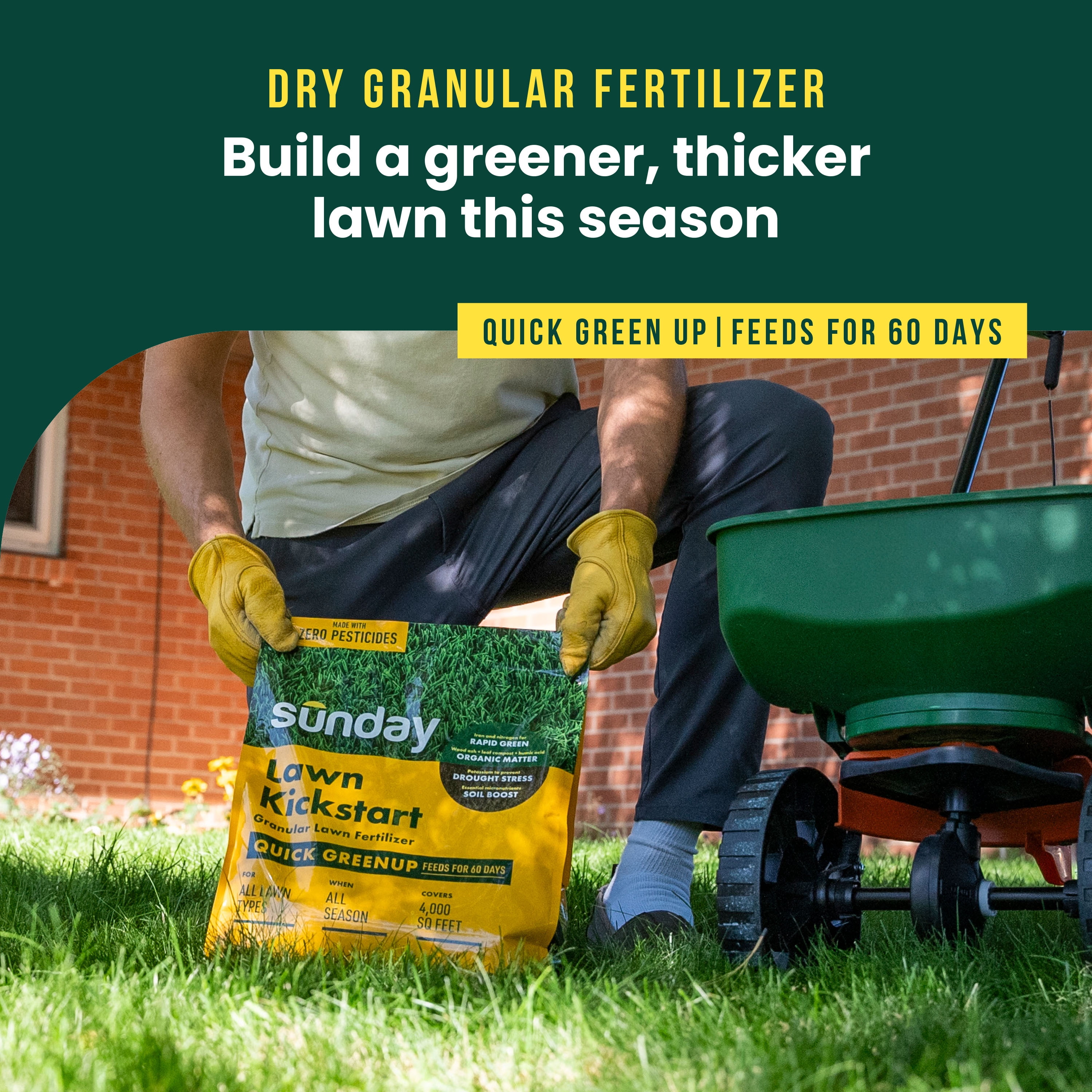 Sunday Lawn Kickstart Premium Granular Lawn Fertilizer 4,000 sq ft, 12lbs