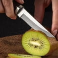 thumbnail image 2 of Plys Paring Knife with Sheath 3 Inch Fixed-Blade Stainless Steel Blade Knives Ergonomic Wood Handle for Hunting Outdoor Sports, 2 of 8