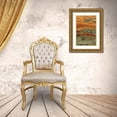 thumbnail image 3 of Terrill, Steve 23x32 Gold Ornate Wood Framed with Double Matting Museum Art Print Titled - Oregon, John Day Fossil Beds NM Painted Hills, 3 of 4