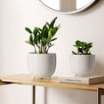 thumbnail image 3 of BEMAY 5.1" & 6.4" Ceramic Plant Pots, Set of 2 Reactive Glaze White Indoor Planters with Drainage Hole, Mesh Pad & Silicone Plug, Footed Succulent Pots for Herbs, Cactus, Flowers, Home Decor, 3 of 9