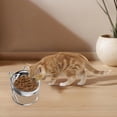 thumbnail image 4 of Bol Surélevé en Acier Inoxydable pour Animaux de Compagnie, Design Antirouille pour l'Hydratation et la Restauration, Adapté pour une Utilisation Intérieure et un Nettoyage Facile, 4 of 5