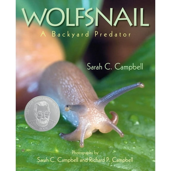 Wolfsnail : A Backyard Predator (Hardcover)