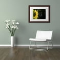 thumbnail image 3 of Trademark Fine Art "Facing the Sun" Canvas Art by Kurt Shaffer, White Matte, Wood Frame, 3 of 4