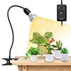 10 W