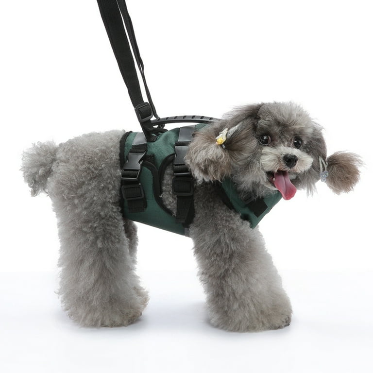 Dog lift cheap assist harness