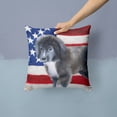 thumbnail image 2 of Carolines Treasures BB9699PW1414 Newfoundland Puppy Patriotic Fabric Decorative Pillow  14Hx14W multicolor, 2 of 4