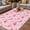 Pink, variant on Pink Flamingo Outdoor Rug for Patio/Deck/Porch, Non-Slip Large Area Rug 3 x 5 Ft, Summer Animals Rustic Indoor Outdoor Rugs Washable Area Rugs, Reversible Camping Rug Carpet Runner