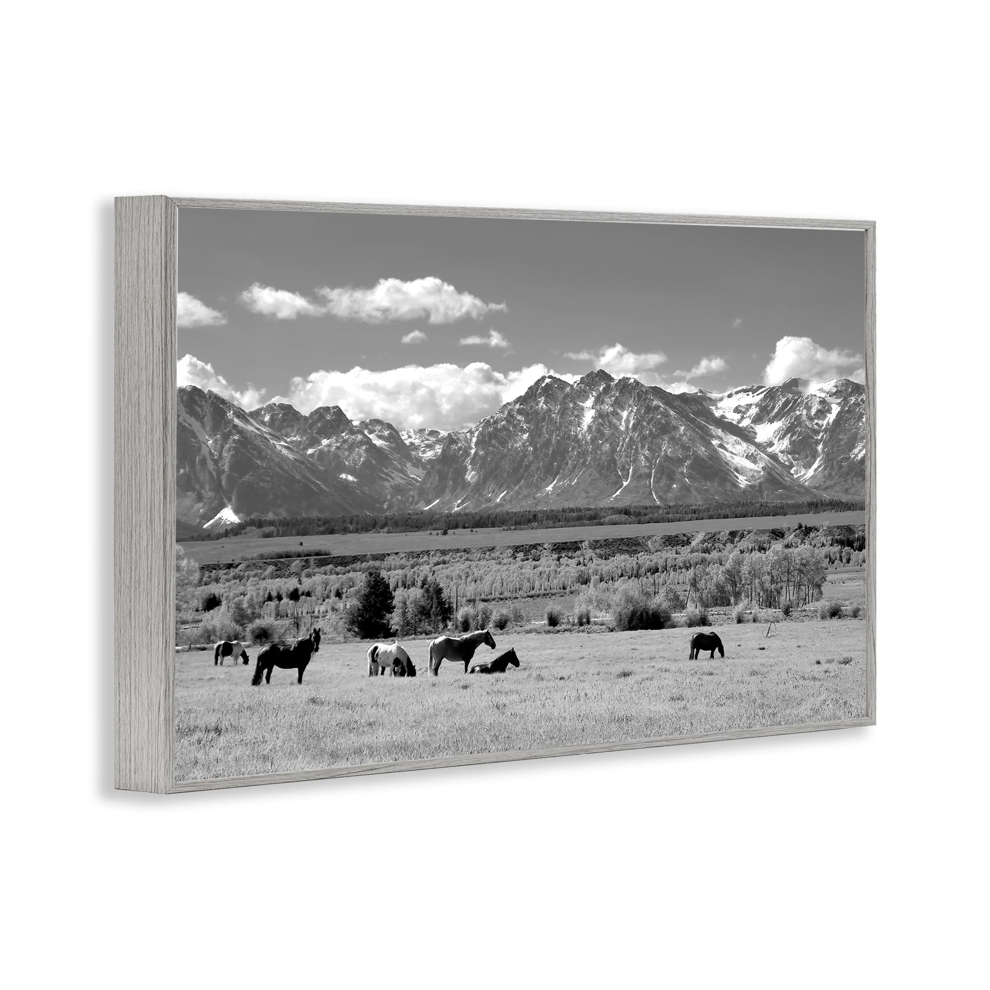 Stupell Industries Wyoming Ranch Horses Grazing Gray Framed Giclee Art, design by Steve Toole