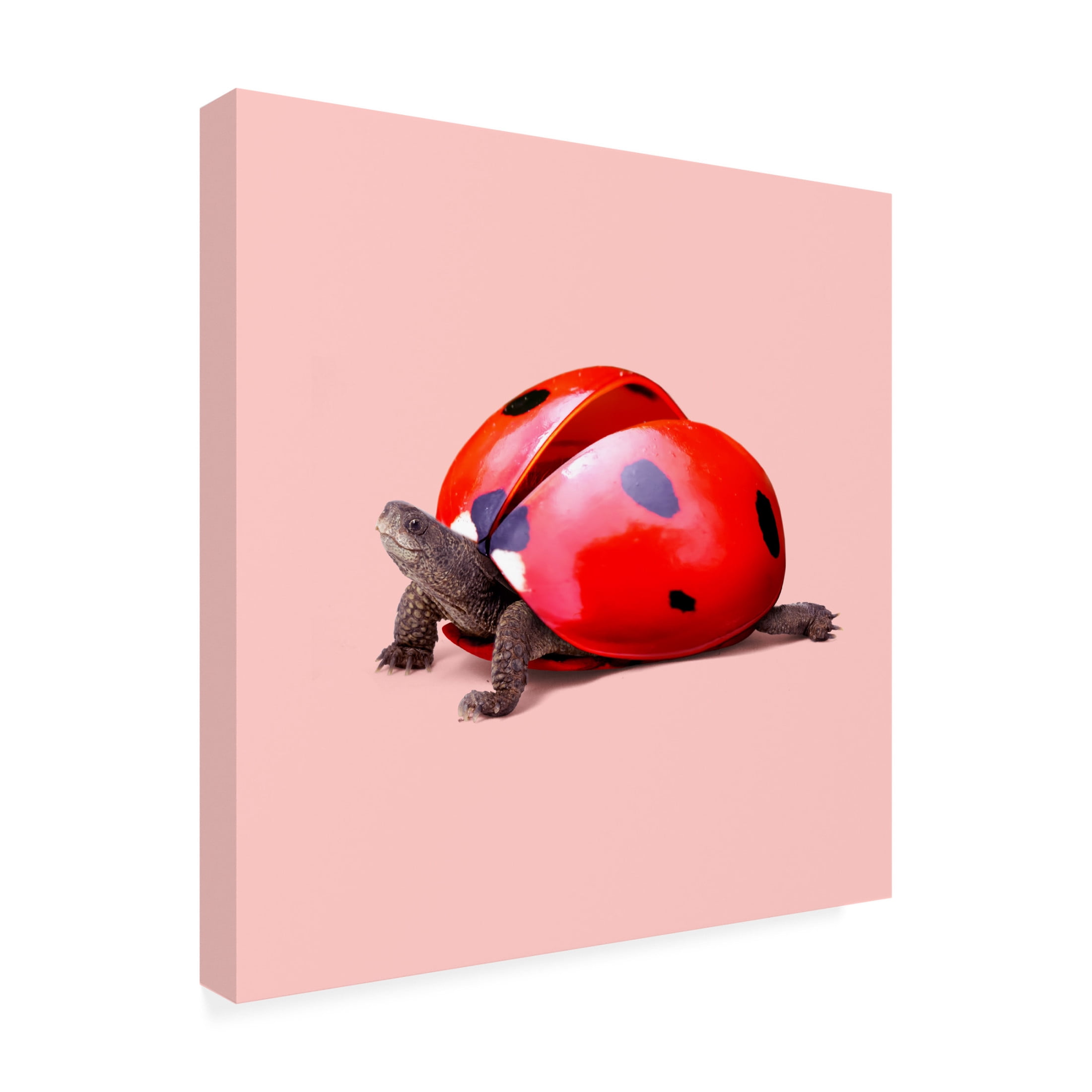 Trademark Fine Art Artem Pozdniakov Ladybug Turtle Canvas Wall Art