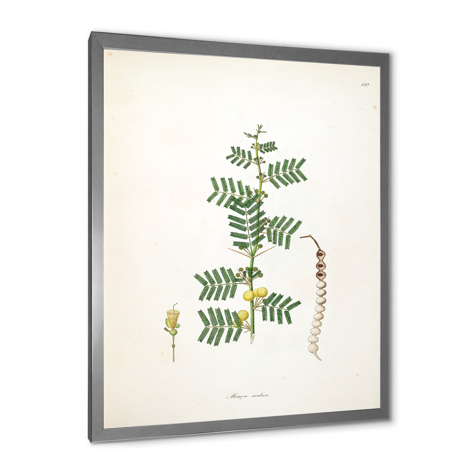 Designart 'Ancient Blossoming Flower III' Farmhouse Framed Art Print