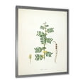 thumbnail image 2 of Designart 'Ancient Blossoming Flower III' Farmhouse Framed Art Print, 2 of 4