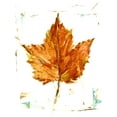 thumbnail image 2 of Harper, Ethan 19x24 White Modern Wood Framed Museum Art Print Titled - Autumn Leaf Study I, 2 of 4
