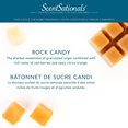 thumbnail image 4 of ScentSationals Scented Wax Cubes Value Pack - Rock Candy, 4 of 4