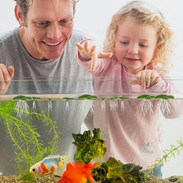 unbranded 6Pqt De Flotación Artificial Para Acuario Sin Afectar Calidad Del
