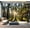 Color4, variant on Peel and Stick Wallpaper Green forest Modern Art Wall Mural Decor Self Adhesive and Removable 69in x 98in