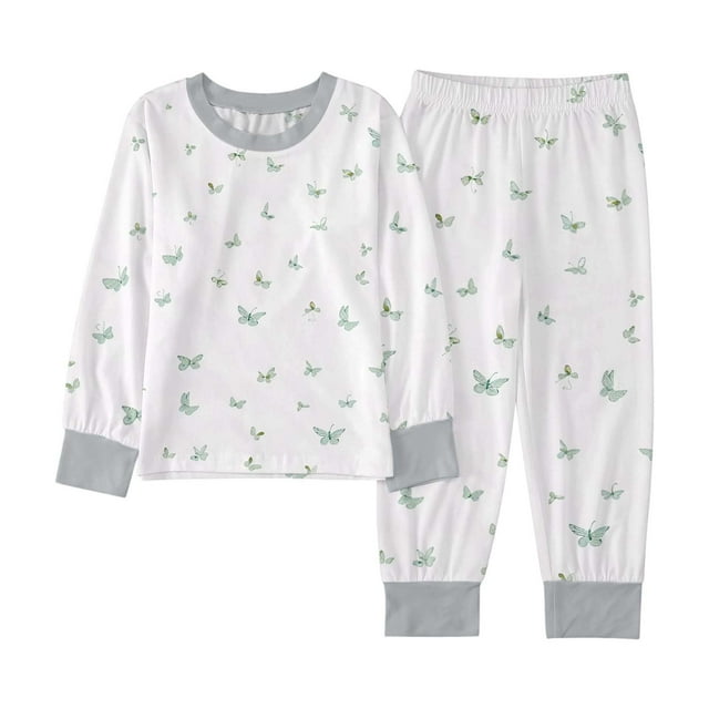 Boys Cartoon Print Long Sleeve Pajama Set Soft Comfortable Two Piece Loungewear for Fall and Spring Seasons Wear