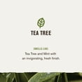 thumbnail image 5 of Every Man Jack 2-in-1 Shampoo and Conditioner, Thickening Tea Tree, Twin Pack, 13.5oz each - For All Hair Types, 5 of 9