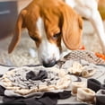 thumbnail image 4 of Alfombrilla Olfativa de Tela para Perros, Gatos y Animales Pequeños – Comedero Lento Tipo Rompecabezas para Entrenamiento Olfativo y Diversión En La Búsqueda de Alimento – Juguete Interactivo para Co, 4 of 6