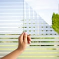 thumbnail image 1 of Striped Privacy Window Film [60x200cm] with E-Book and Tips - Static Cling Window Film - Frosted Window Privacy Screen - Opaque Self-Adhesive Window Film, 1 of 4