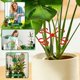 thumbnail image 5 of Double Hook Folding Stand Gardening Green Robe Plastic Small Tool Set Of 4 Sizes, 5 of 5