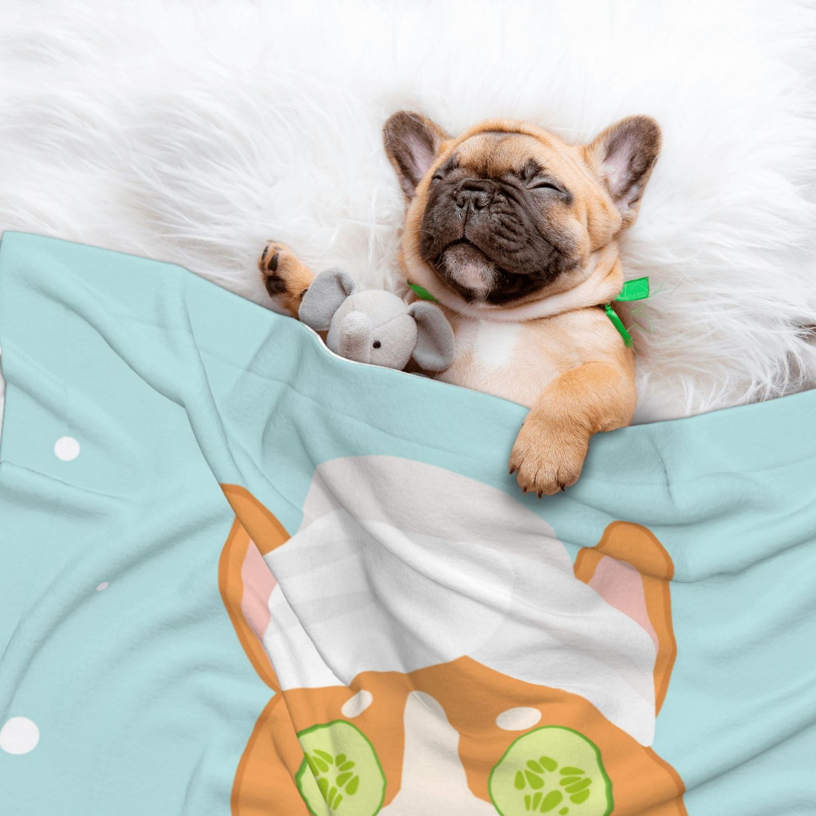 Naloa Corgi With Towel Ans Slice Cucumber Dog Blanket, 3 Sizes Cat Blanket for Indoor Cats Large Medium Small Dog Gifts-Small