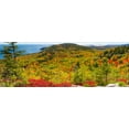 thumbnail image 2 of Noah Jigsaw Puzzle Autumn leaves in Acadia National Park, Maine, USA panorama 1000 pieces, 2 of 2