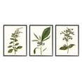 thumbnail image 4 of Stupell Industries Minimal Blue Botanical Study Over Neutral Beige Design by Curtis, 3 Piece, 11" x 14", Gray Framed, 4 of 5