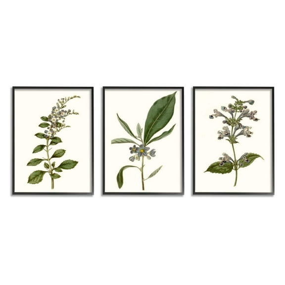 Stupell Industries Minimal Blue Botanical Study Over Neutral Beige Design by Curtis, 3 Piece, 16" x 20", Black Framed