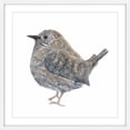 thumbnail image 3 of "Wren Bird" Framed Painting Print, 3 of 5