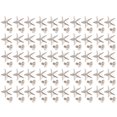 thumbnail image 2 of Filfeel Star Shape Rivet, Rivet, Elegant For Shoes Clothes Bag Pocket, 2 of 8