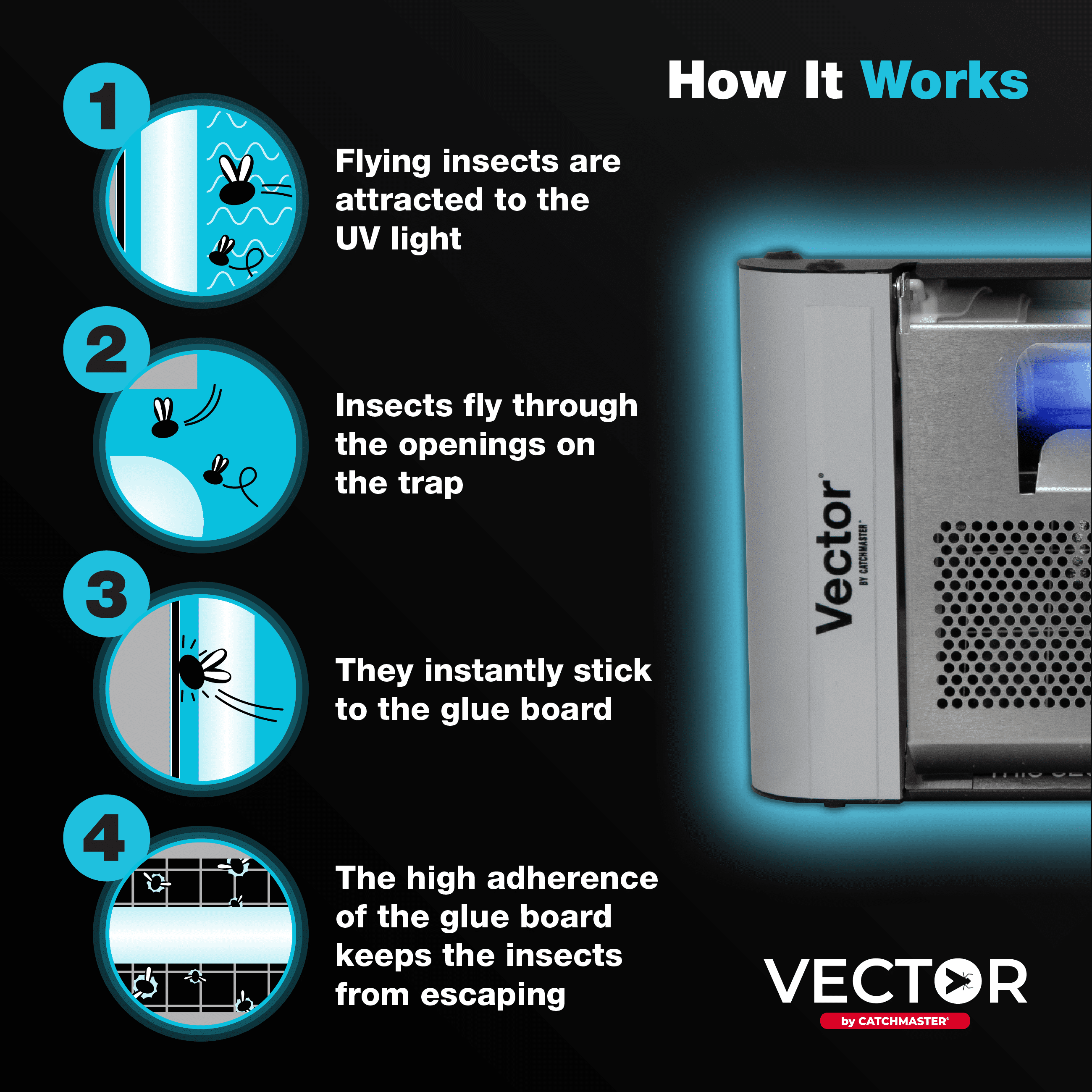 Catchmaster Vector Plasma One Silver, Compact UV Light Fly Traps for Home, Indoor UV Lamp Silent Bug Light for Deli, Bars, Kitchen & Trash Rooms