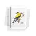 thumbnail image 4 of Twigs Paper - American Birds Note Cards - Set of 12 Blank Assorted Greeting Cards With Envelopes (5.5 x 4.25 Inch) - 100% Eco Friendly Stationery - Made In USA, 4 of 8
