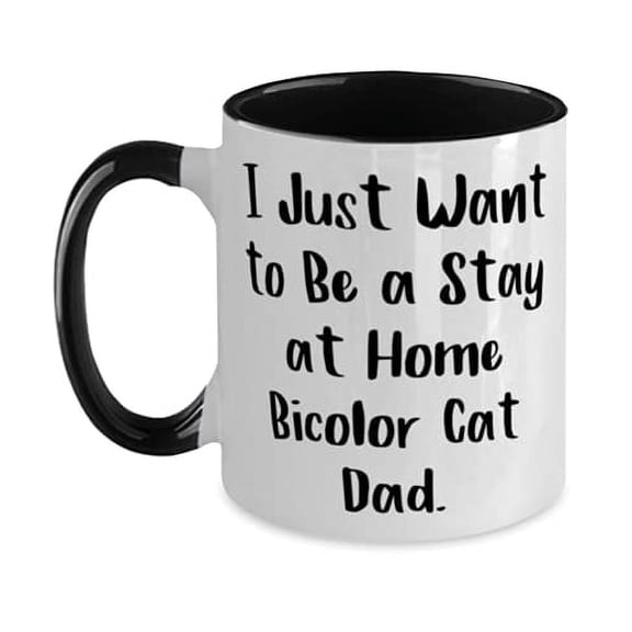 Inspire Bicolor Cat, I Just Want to Be a Stay at Home Bicolor Cat Dad, Special Two Tone 11oz Mug For Cat Lovers From Friends