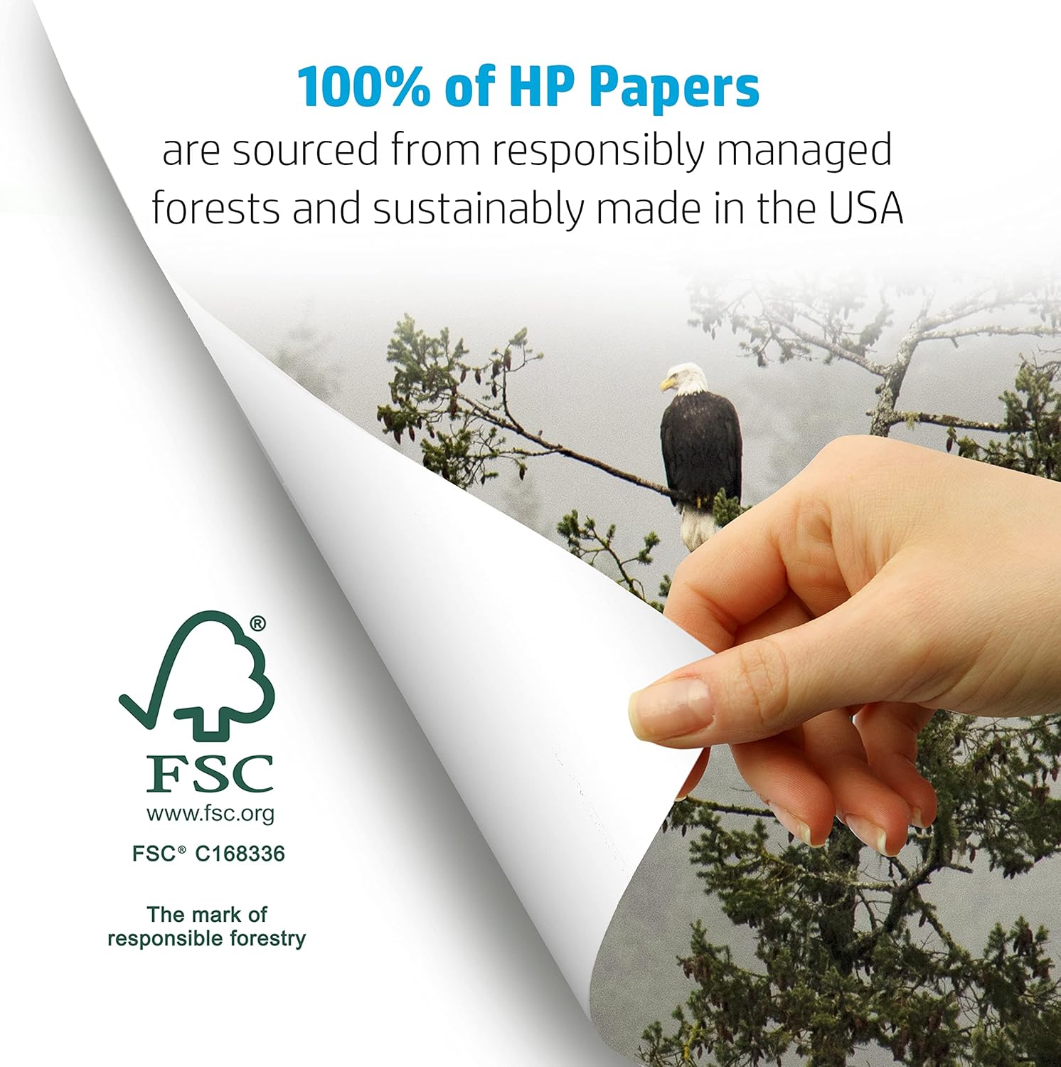 20 lb Printer Paper 8.5 x 11, 10 Reams 5000 Sheets Office Copy Paper, 92 Bright Acid Free, FSC CertifiedMade for Copier, White