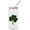 Style 2, variant on Happy St. Patricks Day Shamrock Glass Tumbler with Lids And Straws, 16oz Glasses Drinking Set, Iced Coffee Cups, Beer Glasses, Can Shaped Glass Cup for Juice, Coffee, Cocktail, Wine, Milk