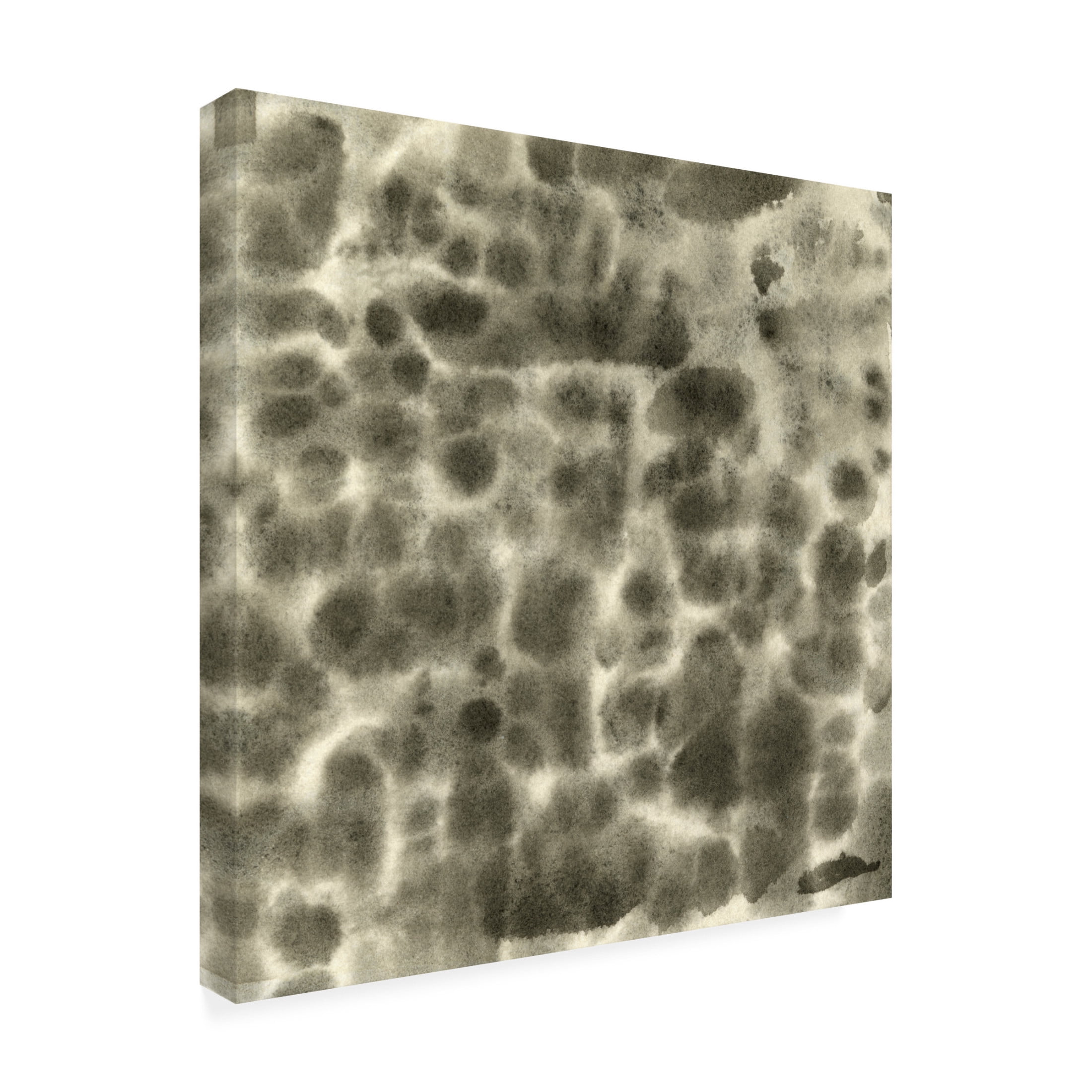 Canvas Wall Art - Emma Caroline 'Leopard Fade II' Wall Art for Living Room, Bedroom, or Office Décor by Trademark Fine Art - 14 x 14 Inches