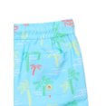 thumbnail image 3 of Wonder Nation Toddler Boy Quick Dry Swim Shorts, Sizes 12M-5T, 3 of 3